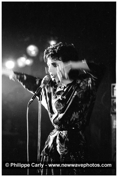 Siouxsie and the Banshees