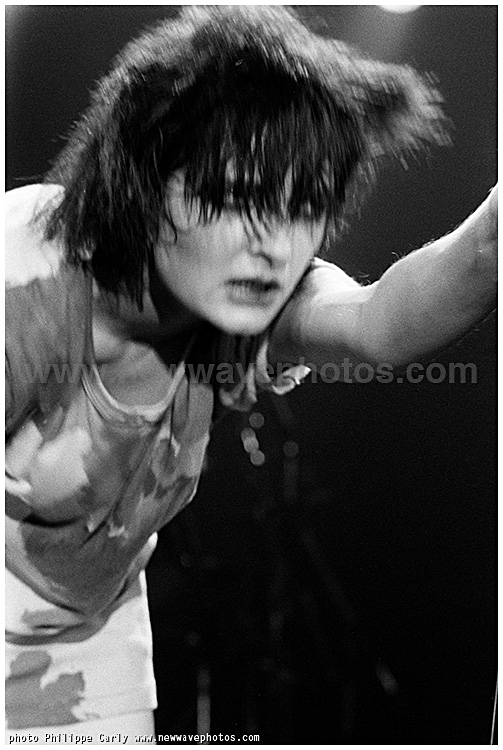 Siouxsie and the Banshees