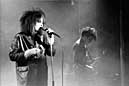 Siouxsie and the Banshees