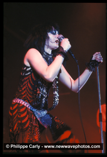 Siouxsie and the Banshees