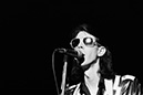 the Cars