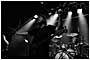 Chameleons Vox