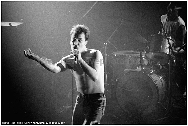 the Dead Kennedys