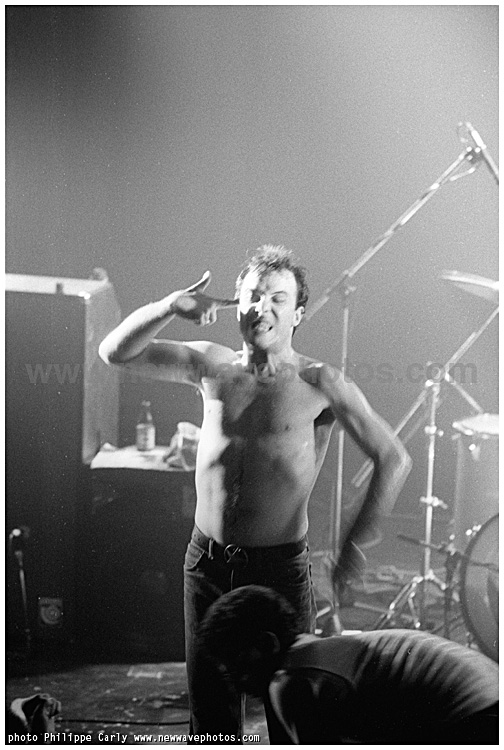 the Dead Kennedys