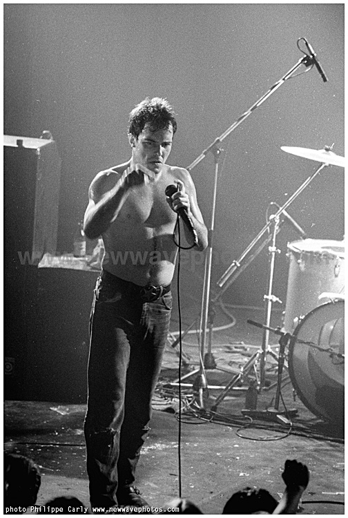the Dead Kennedys