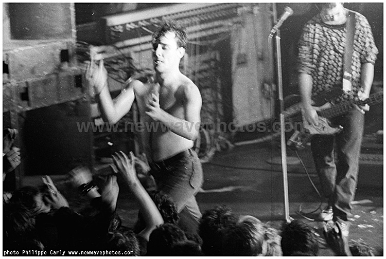 the Dead Kennedys