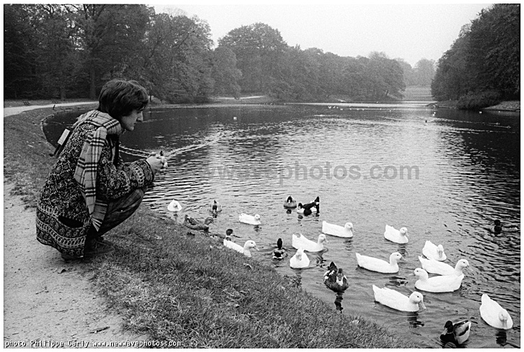 the Durutti Column