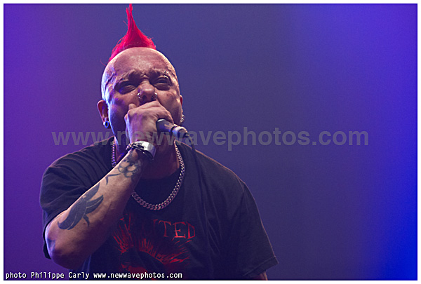 the Exploited