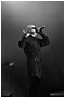 Front 242