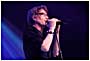 the Psychedelic Furs