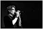 the Psychedelic Furs