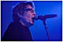 the Psychedelic Furs