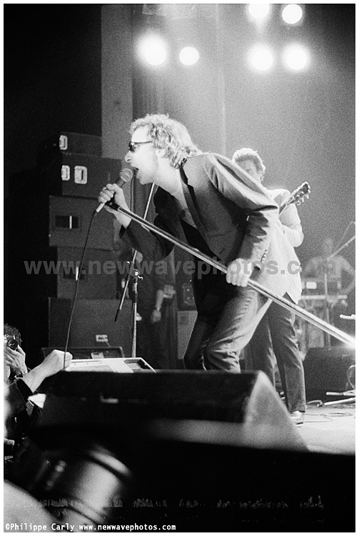 Graham Parker & the Rumour