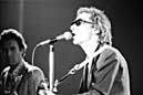 Graham Parker & the Rumour