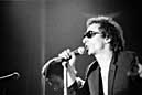 Graham Parker & the Rumour