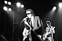 Graham Parker & the Rumour