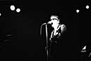 Graham Parker & the Rumour