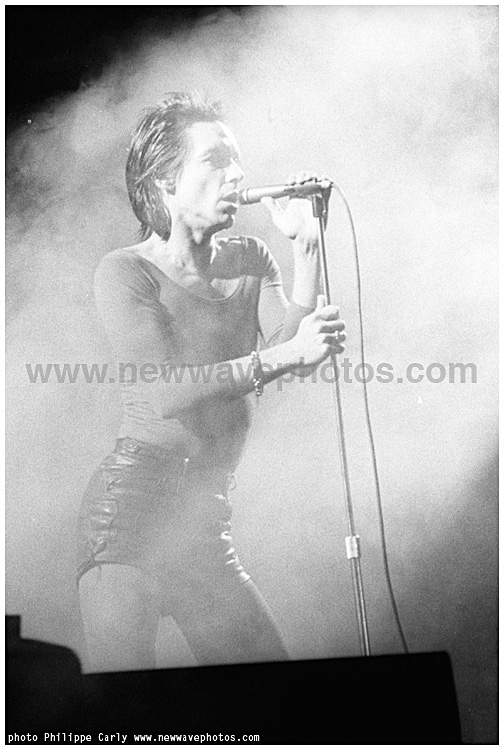 Iggy Pop