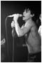 Iggy Pop