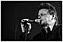 James Chance and the Contorsions