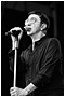 Marc Almond