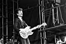 Mink DeVille