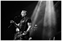 Peter Hook & the Light