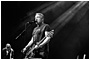 Peter Hook & the Light