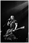 Peter Hook & the Light