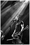 Peter Hook & the Light