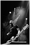 Peter Hook & the Light