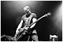 Peter Hook & the Light