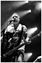 Peter Hook & the Light