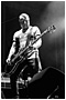 Peter Hook & the Light