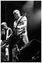 Peter Hook & the Light