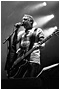 Peter Hook & the Light