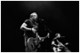 Peter Hook & the Light