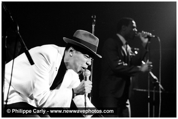 the Selecter