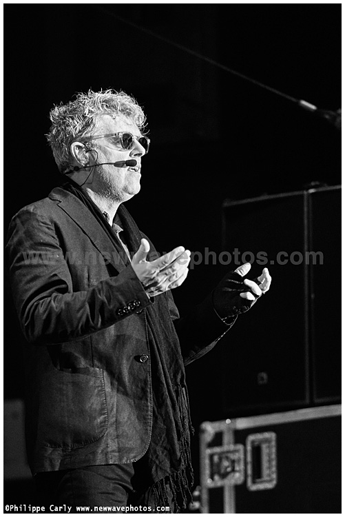 Tom Bailey