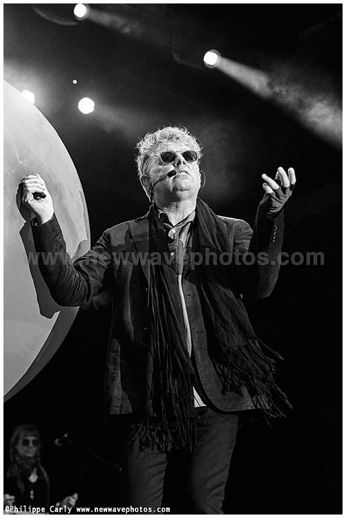Tom Bailey
