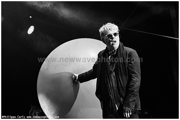 Tom Bailey