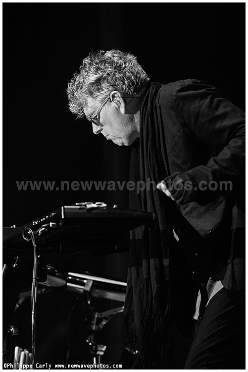 Tom Bailey