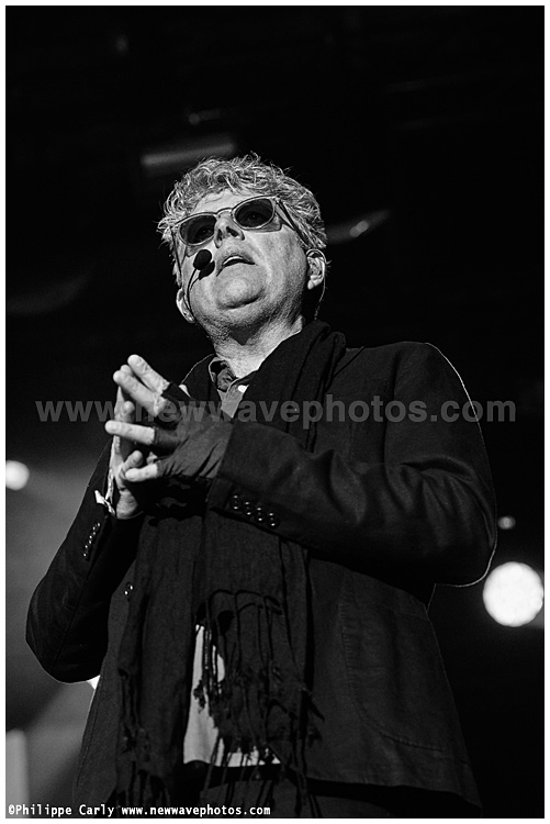 Tom Bailey