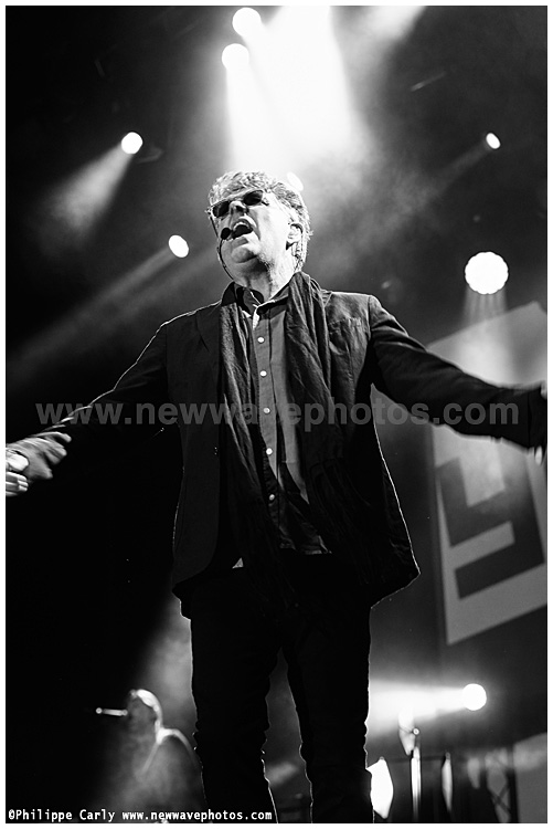 Tom Bailey