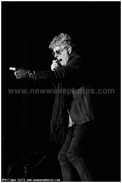 Tom Bailey