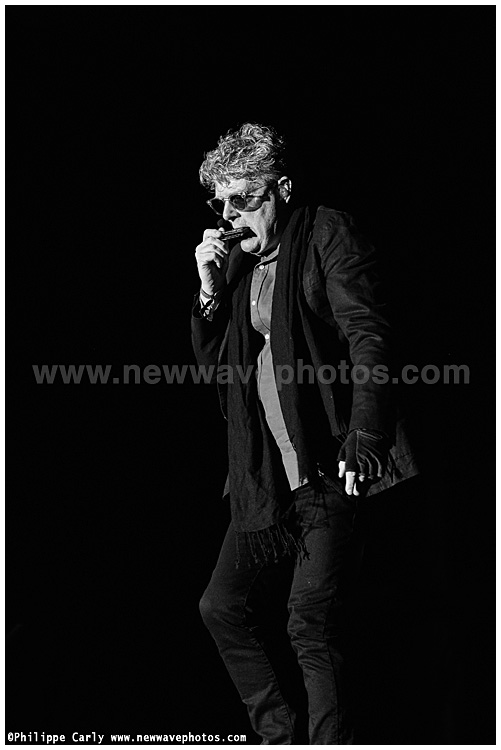 Tom Bailey