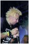 UK Subs