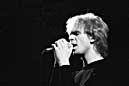 the Teardrop Explodes