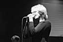 the Teardrop Explodes