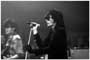 the Sisters of Mercy